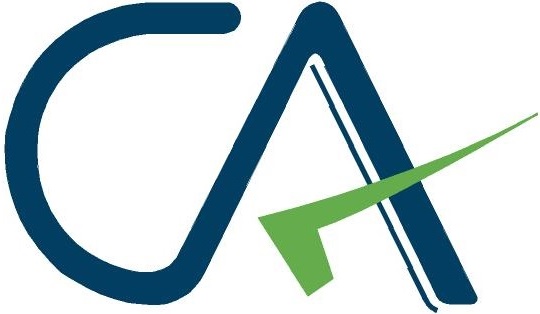 Chartered Accountants logo